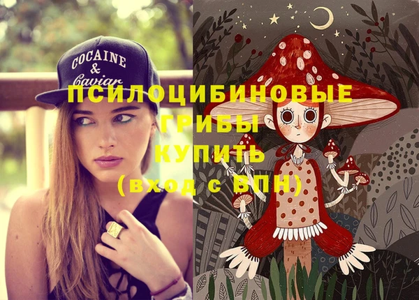 спиды Алзамай