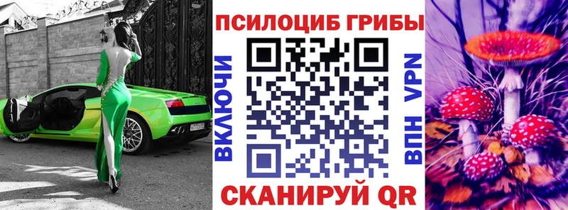 мега зеркало  даркнет наркотические препараты  Псилоцибиновые грибы мицелий  Опочка 